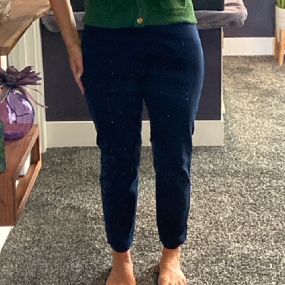 Banana Republic Navy Slim Cropped Pants